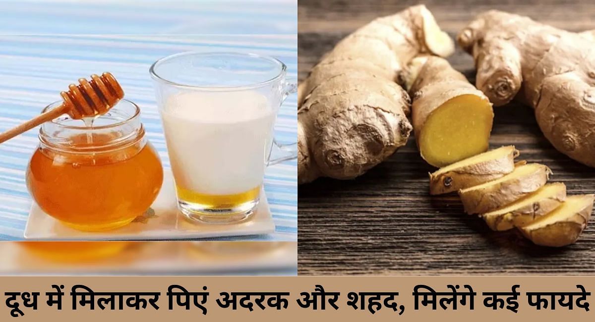 दूध में मिलाकर पिएं अदरक और शहद, मिलेंगे कई फायदे(फोटो-Sportskeeda hindi)