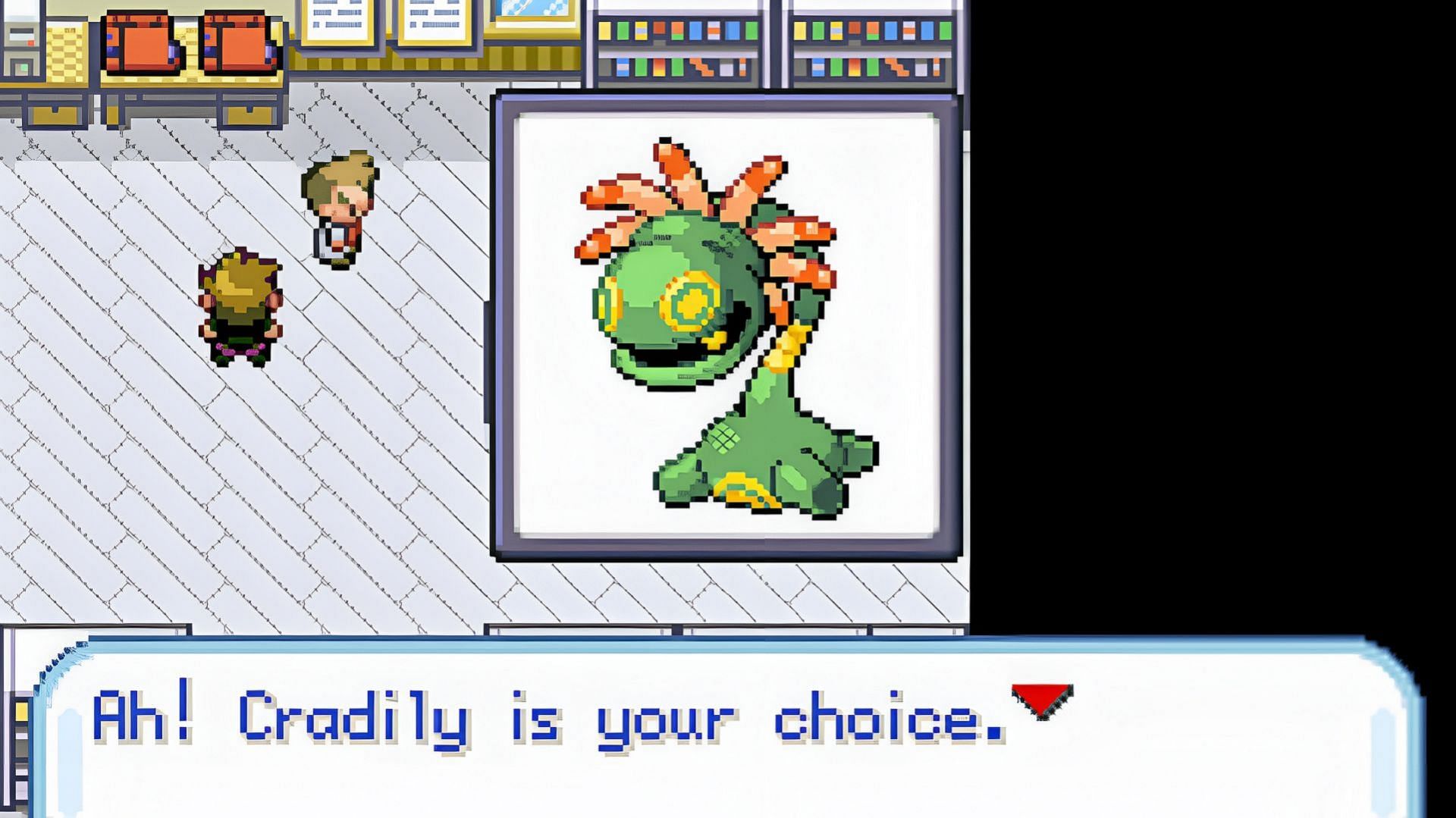 BEST Pokemon Randomizer Settings!!! (FireRed)