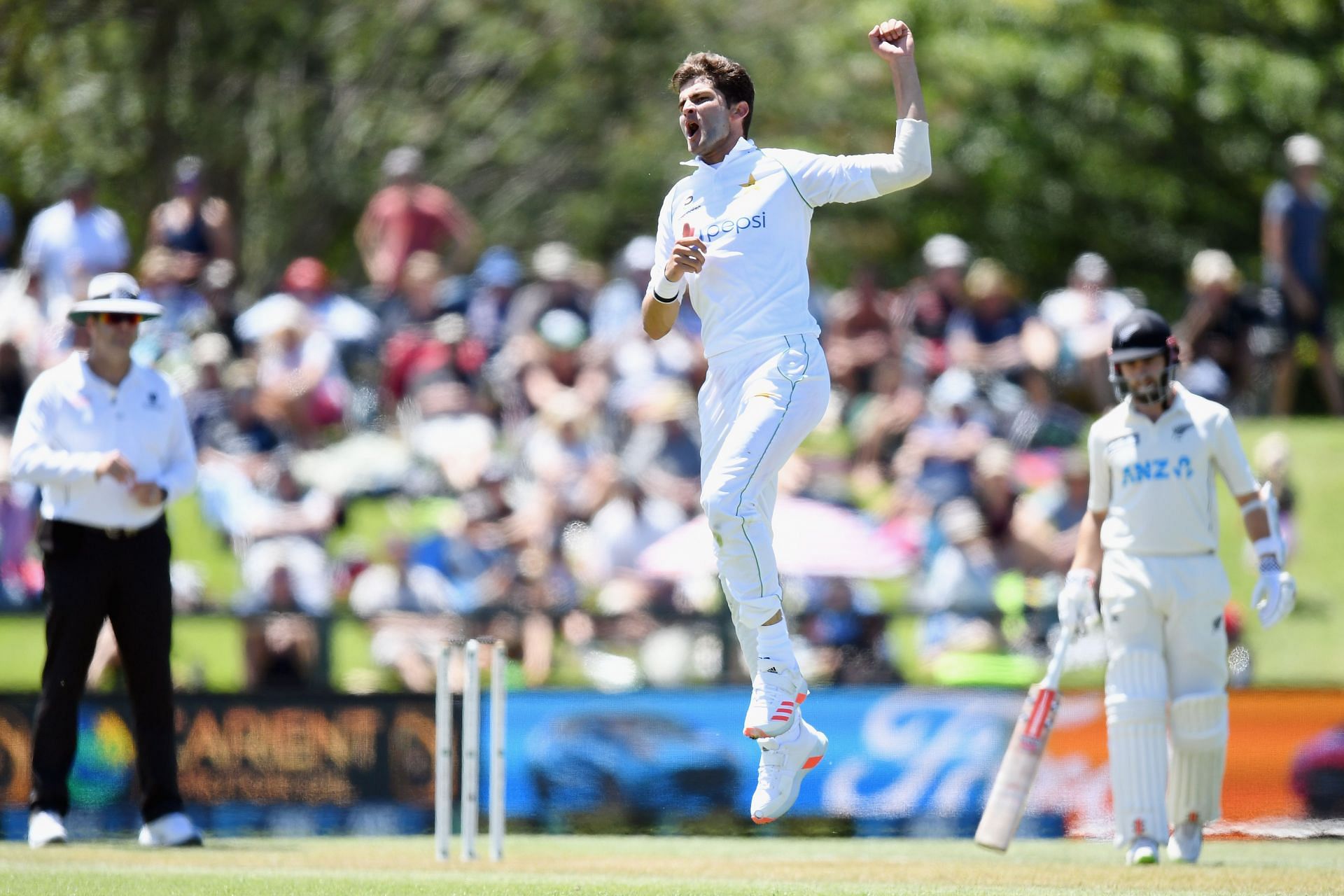 New Zealand v Pakistan - 2nd Test: Day 2