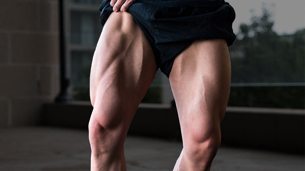 How to Develop Strong, Muscular Thighs  Calf muscle anatomy, Calf muscles, Muscular  thighs