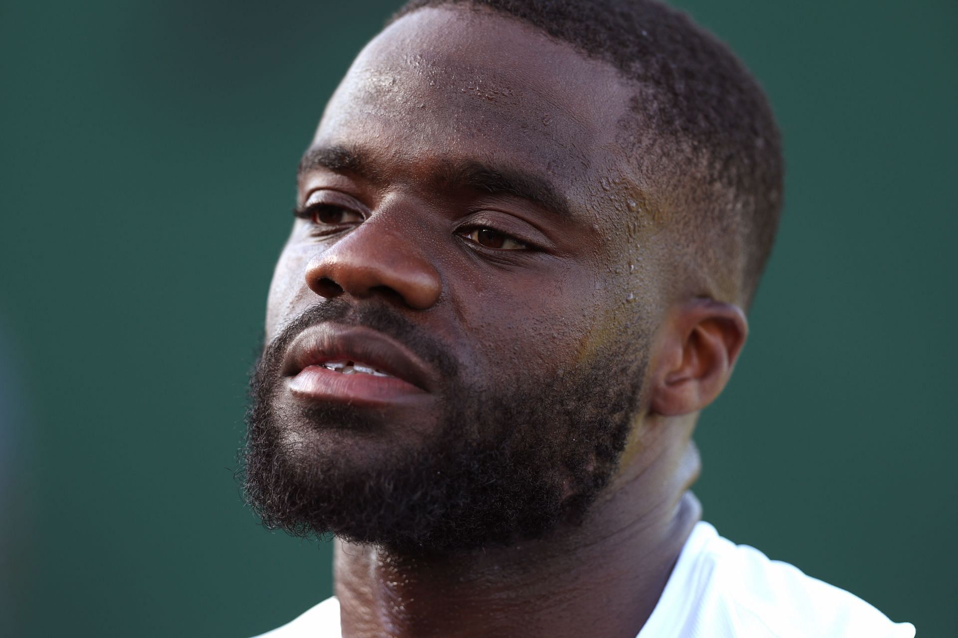 Dimitrov tiafoe prediction