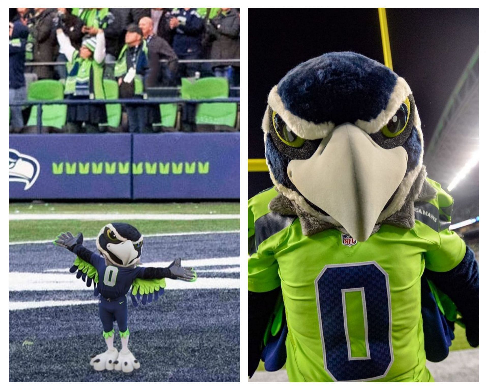 Which NFL teams have bird mascots? 