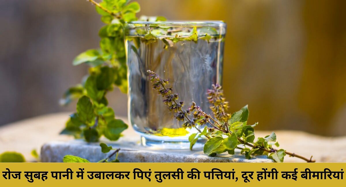 रोज सुबह पानी में उबालकर पिएं तुलसी की पत्तियां, दूर होंगी कई बीमारियां(फोटो-Sportskeeda hindi)