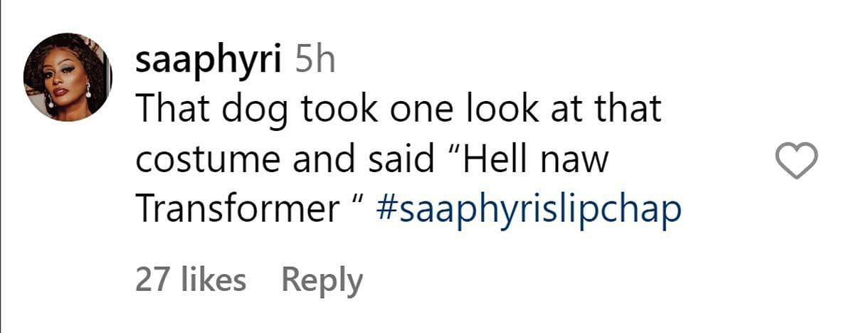 A comment reacting to the news (Image via Instagram/ @saaphyri)