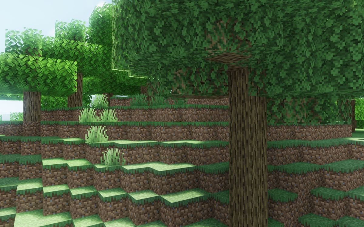 Ranking every tree in Minecraft 1.20 From worst to best