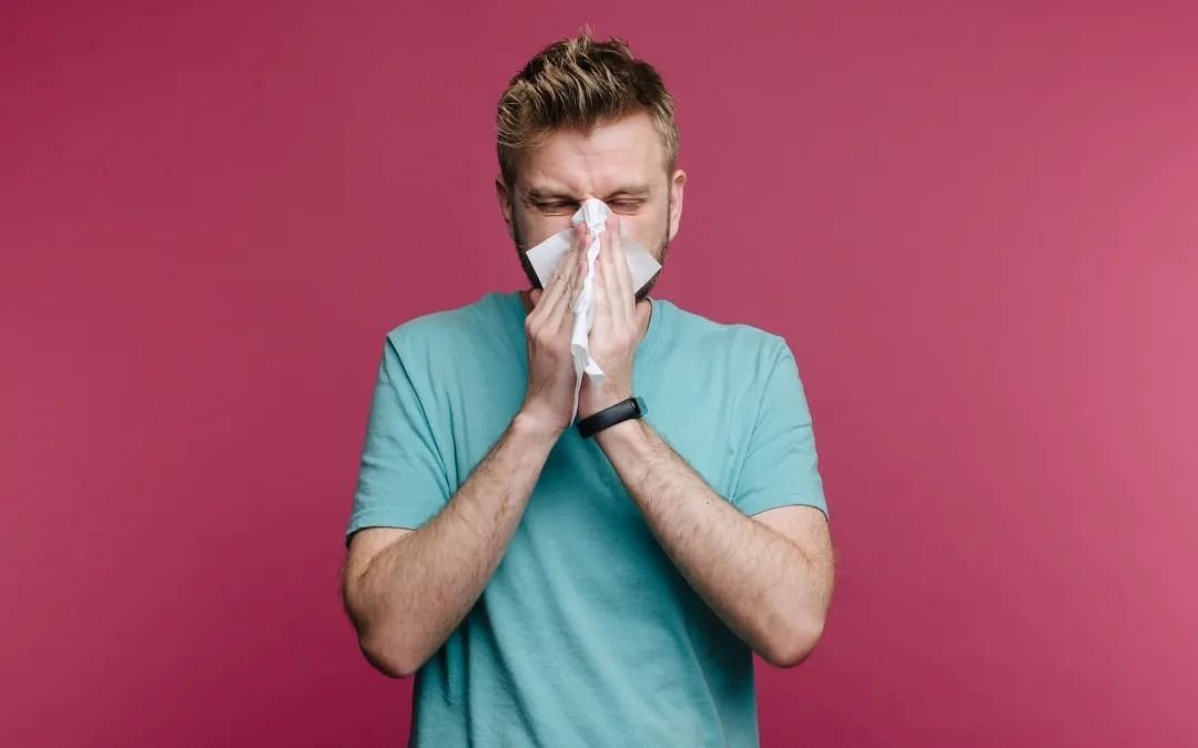 Avoid allergies (Image via Getty Images)