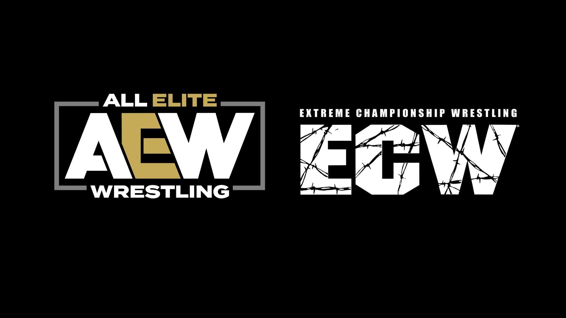 AEW and ECW are examples of wrestling promotions