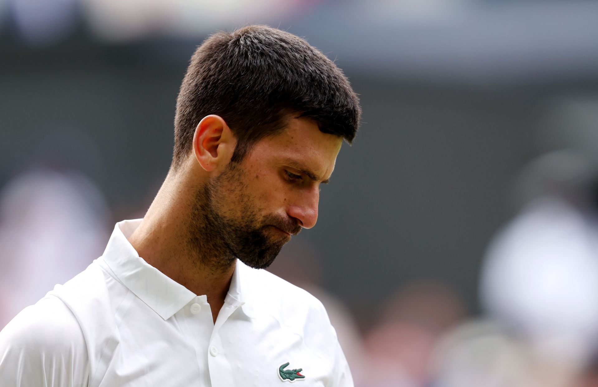 Novak Djokovic pictured at the 2023 Wimbledon Championships.