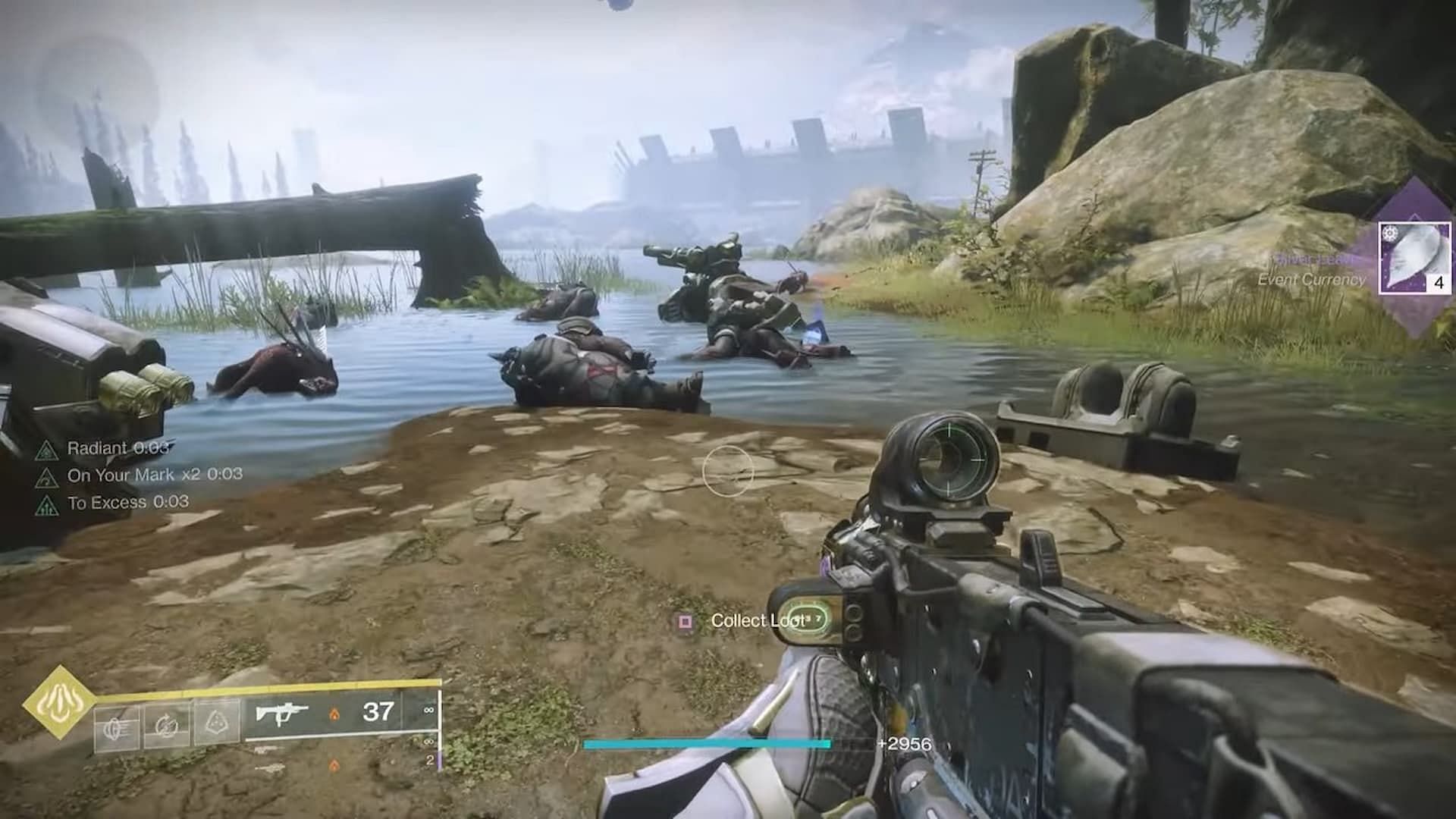 Silver Leaves are important resources during Solstice (Image via Bungie)