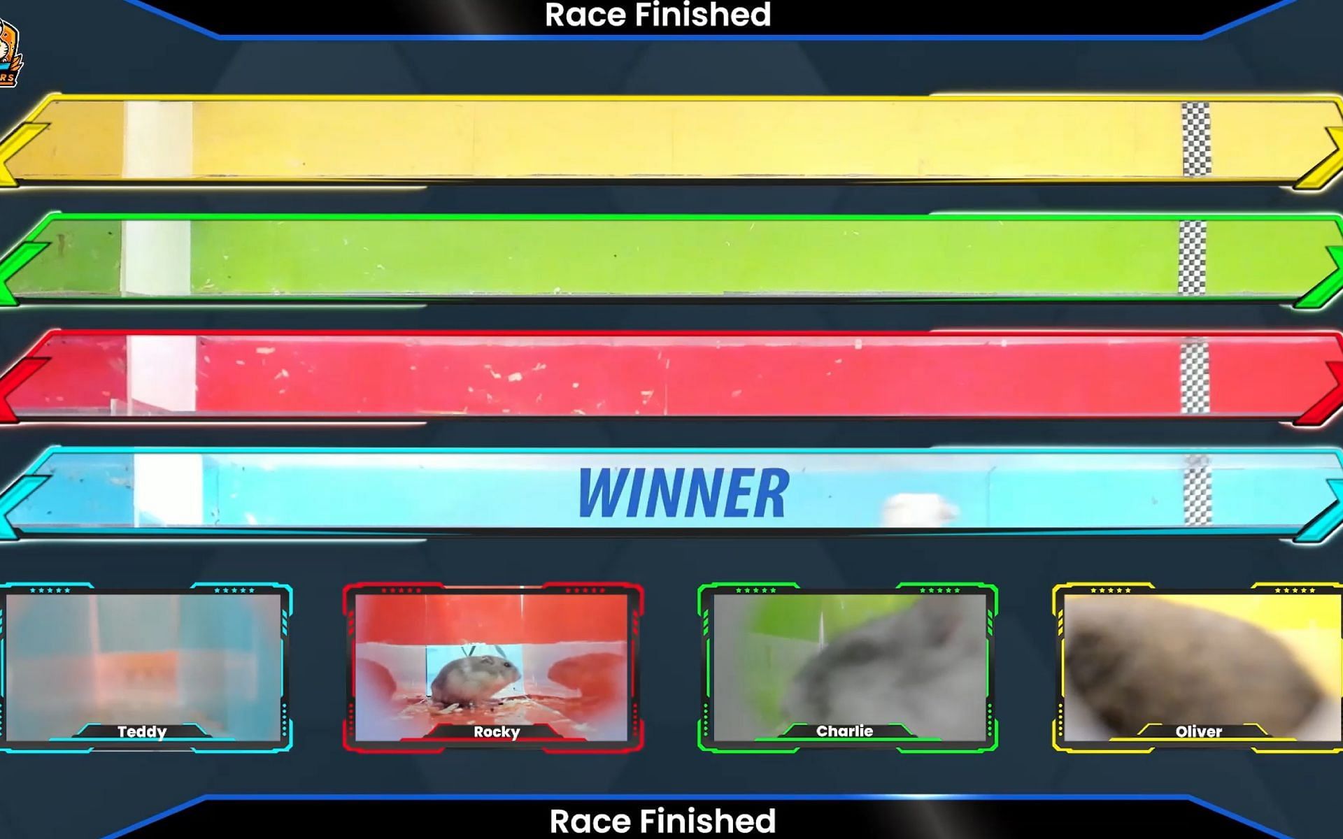 Exploring what hamster race betting livestreams on Twitch are (Image via hamstersgg/Twitch)