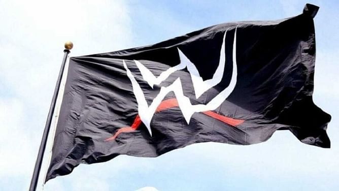 WWE Superstar says 'bye' after recent loss