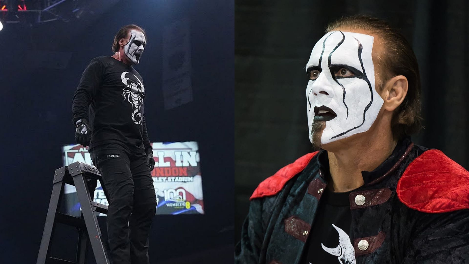Sting has received a lot of criticism for his recent stunt.