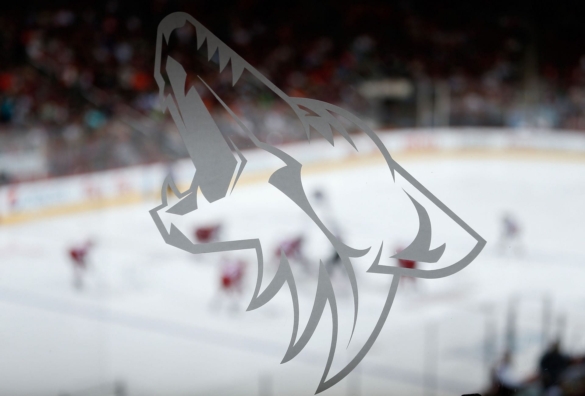 Phoenix Coyotes, hockey, logo, nhl, sport, esports, team, HD phone  wallpaper