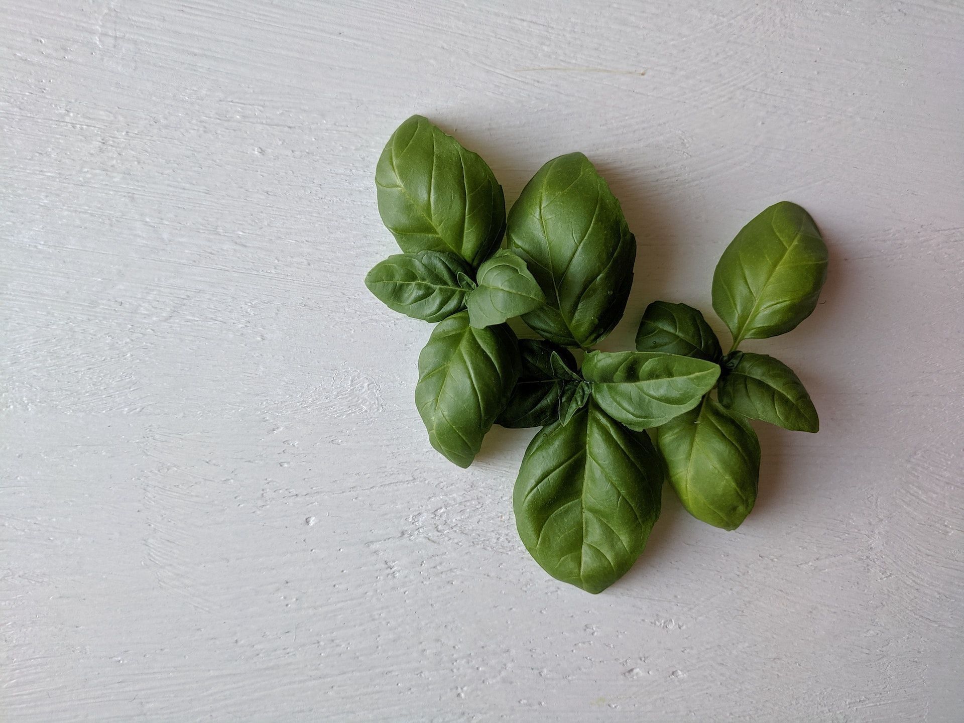 Holy basil is among amazing herbs to lower cholesterol. (Photo via Pexels/Asya Vlasova)