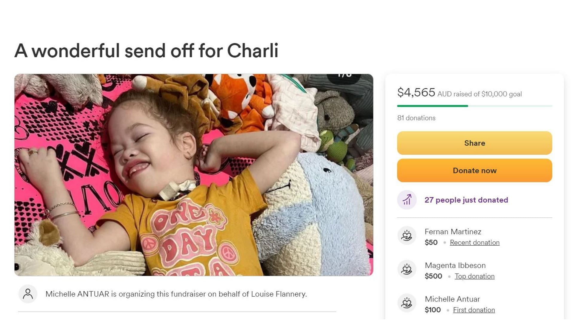 Fundraiser for Charli&#039;s family (Image via GoFundMe)