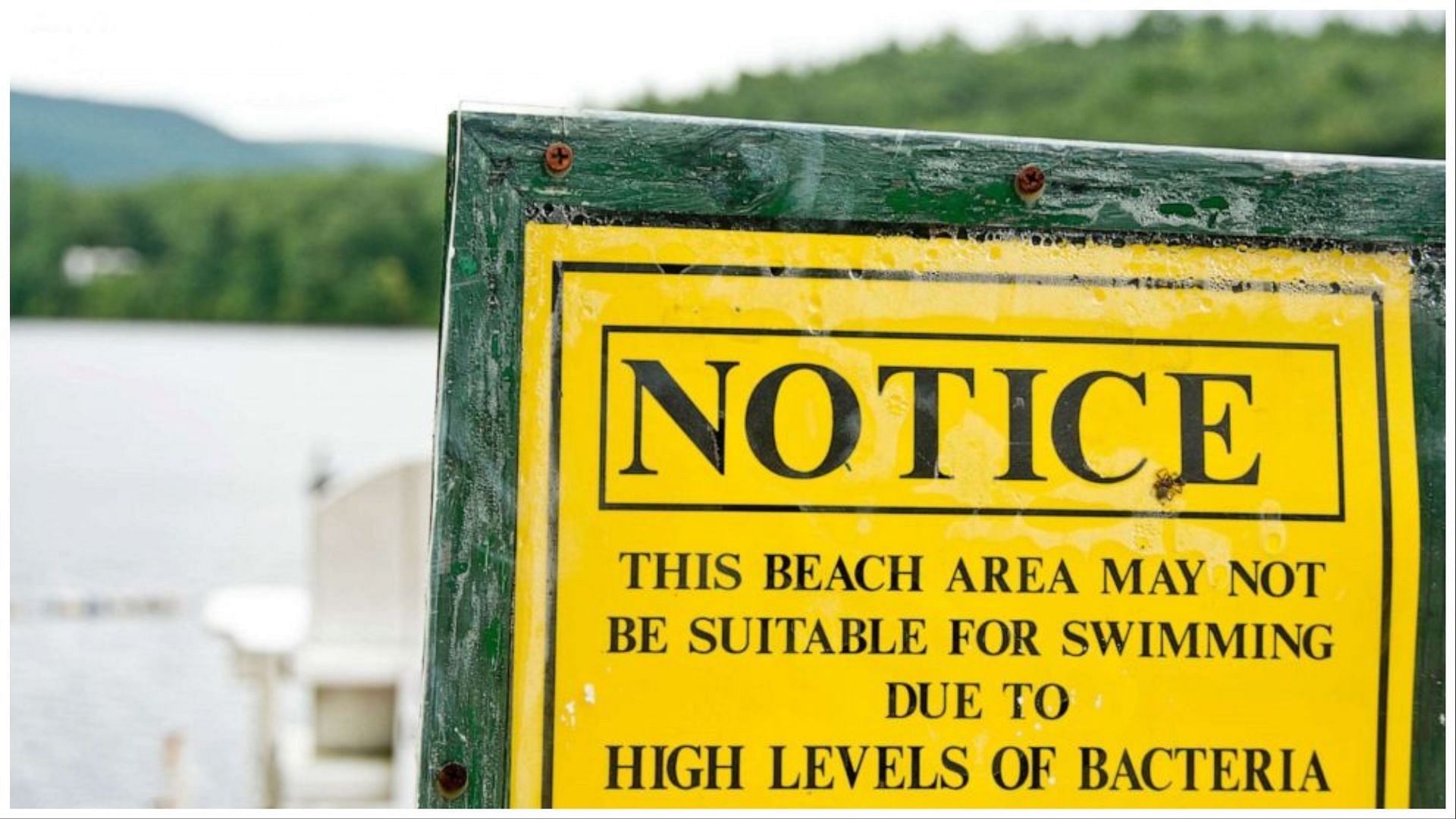 The notice reads that the beach may not be suitable for swimming due to high levels of bacteria (Image via Getty Images)