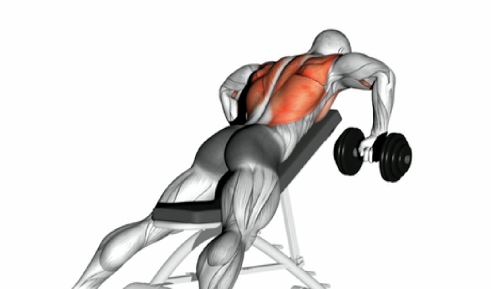 Dumbbell rows (Image via Getty Images)