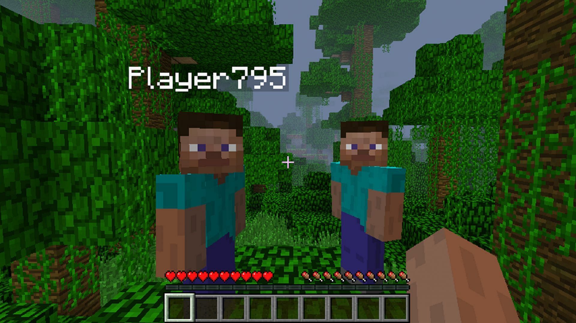 Minecraft players can hide their player name or Xbox gamertag using a few different methods (Image via Thislooksfun1/CurseForge)