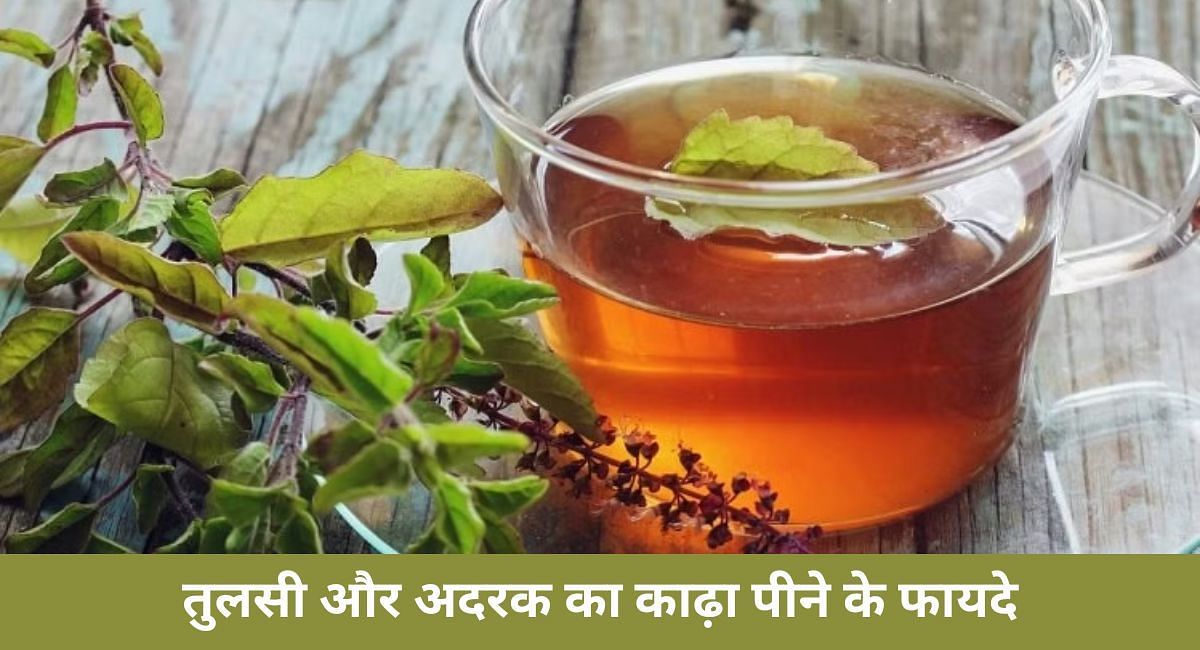तुलसी और अदरक का काढ़ा पीने के फायदे(फोटो-Sportskeeda hindi)