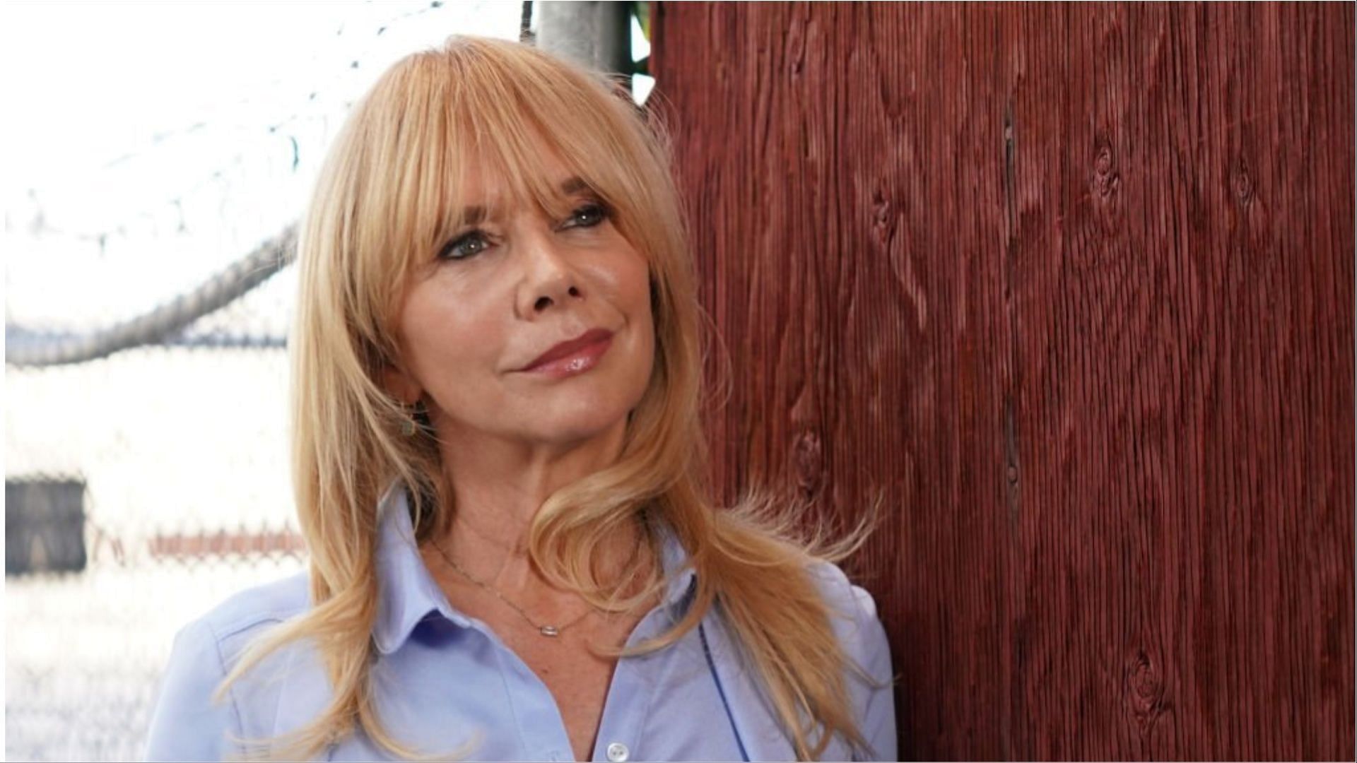 Rosanna Arquette recently met with an accident (Image via Michael Moriatis/Getty Images)