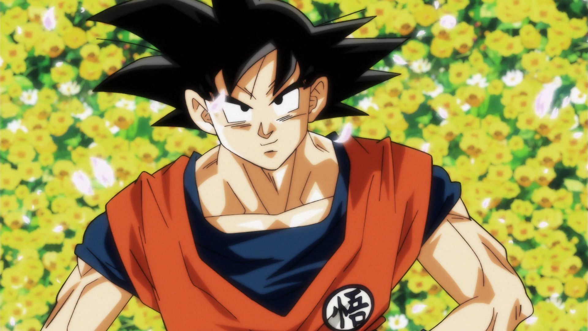 Goku as seen in Dragon Ball Super anime (Image via Toei Animation)