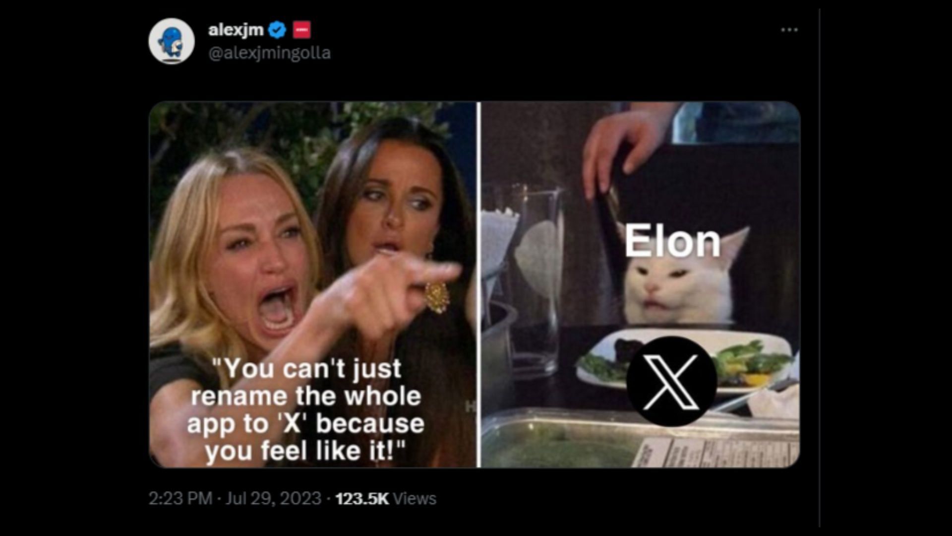 Netizen reacts to the giant X on Twitter headquarters. (Image via Twitter/@elonmusk)