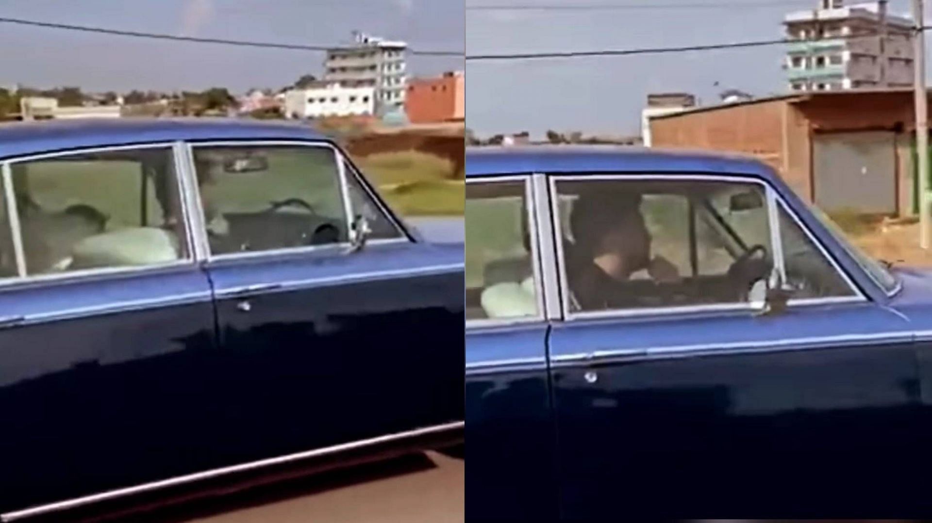 MS Dhoni was spotted driving his car (Image: Instagram)