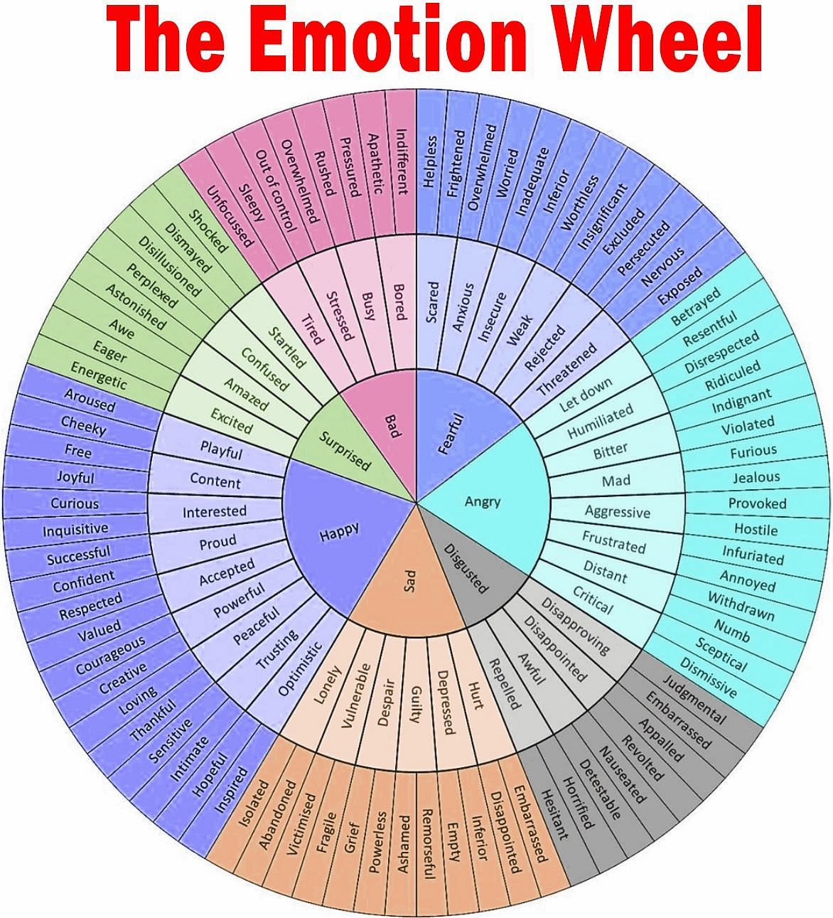 Use the wheel of emotions as a way of getting in touch with your emotions. (Image via Getty/ Getty)