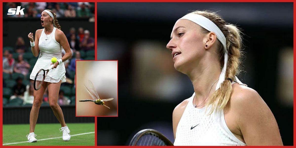 Petra Kvitova posted her second win at Wimbledon on Friday.