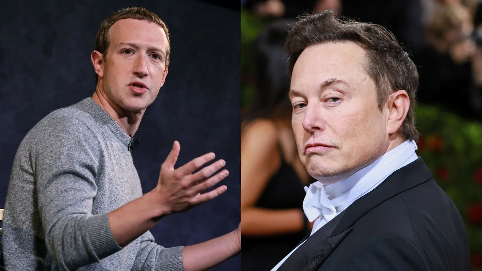 Mark Zuckerberg and Elon Musk