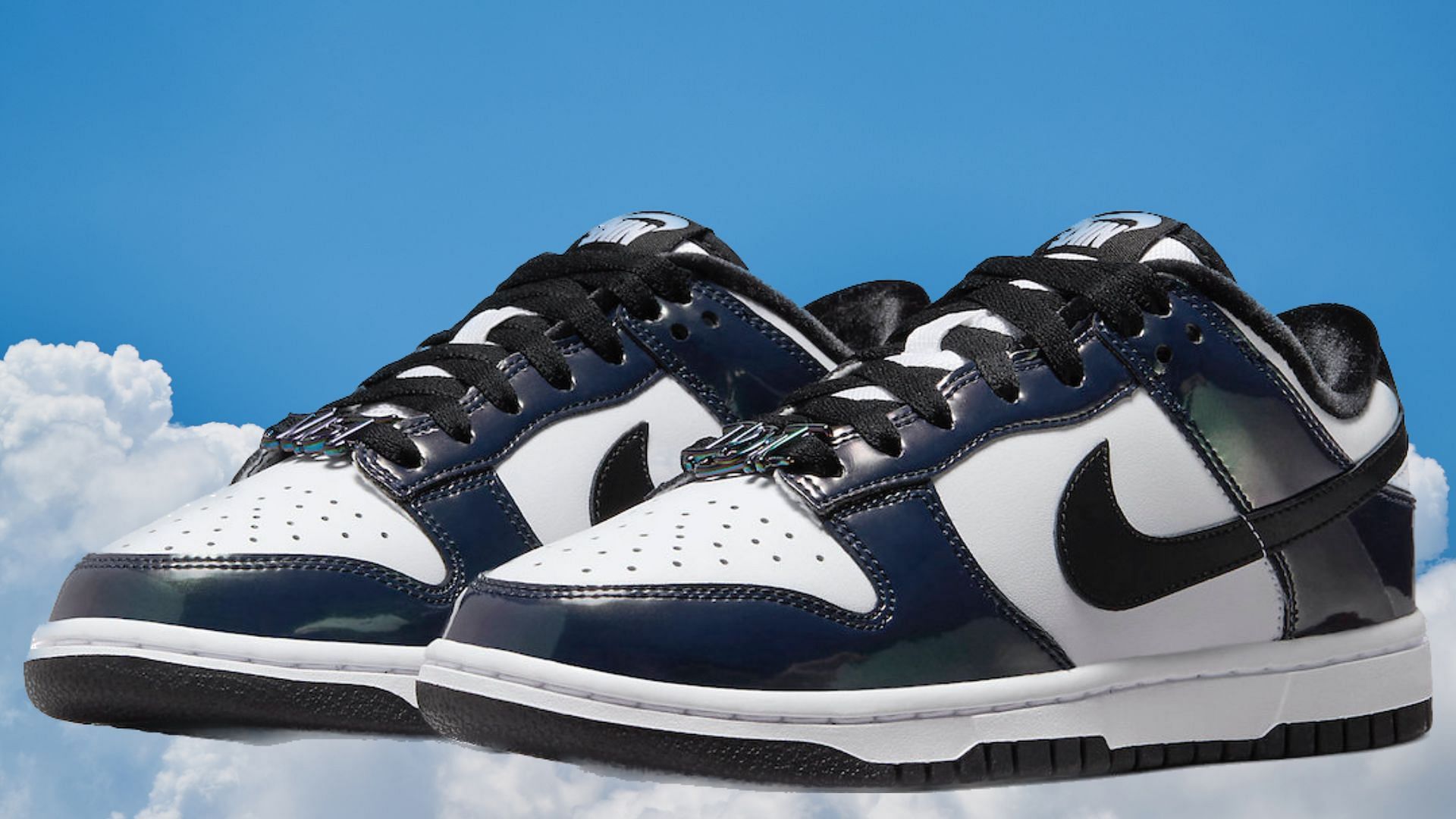 Nike Dunk Low shoes (Image via Nike)