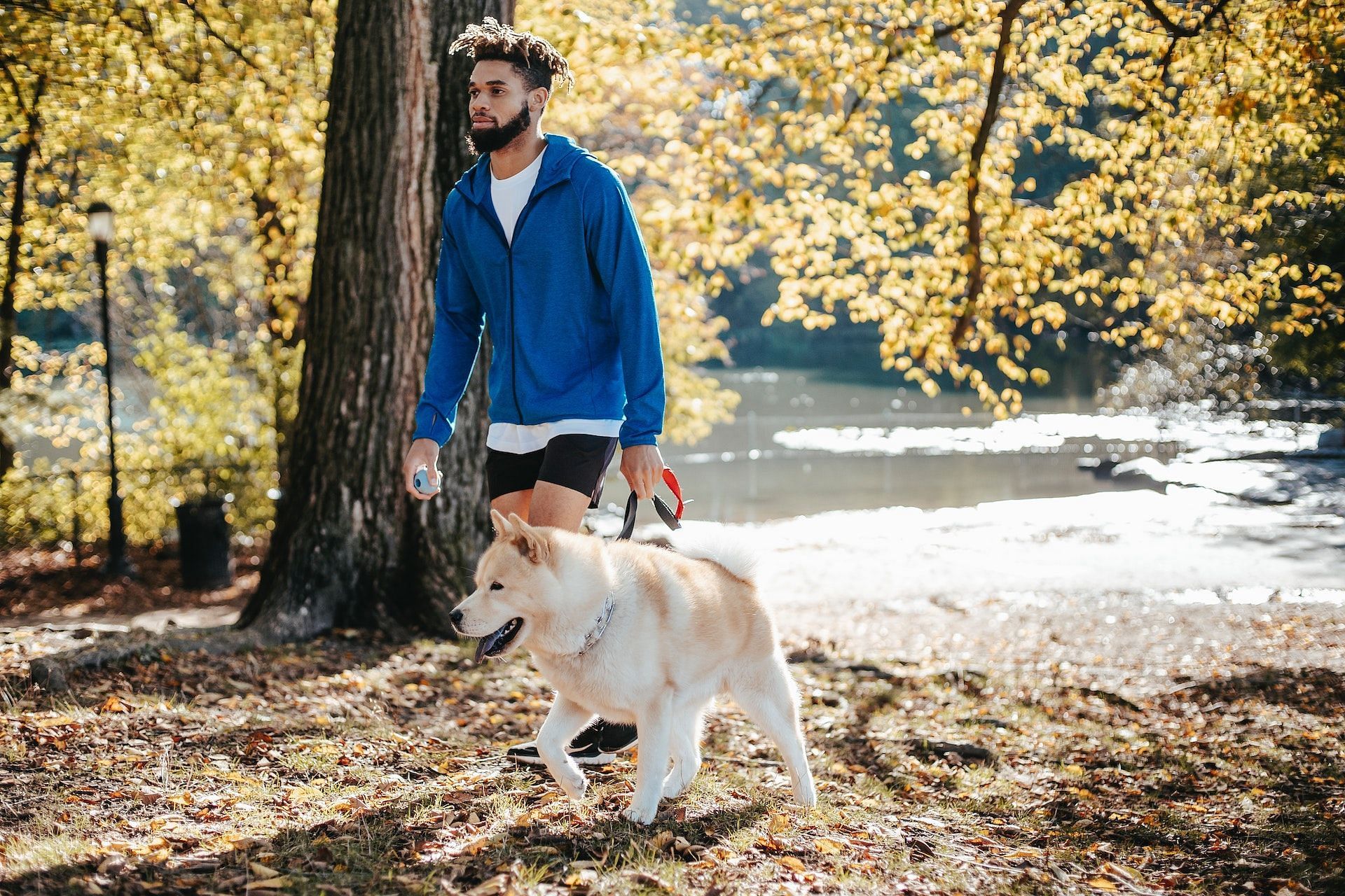 Walking routine. (Image via Pexels/ Zen Chung)