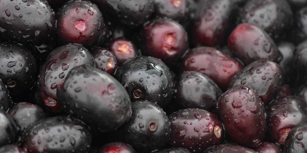 Java Plum Fruit (Image source/ Pexels)