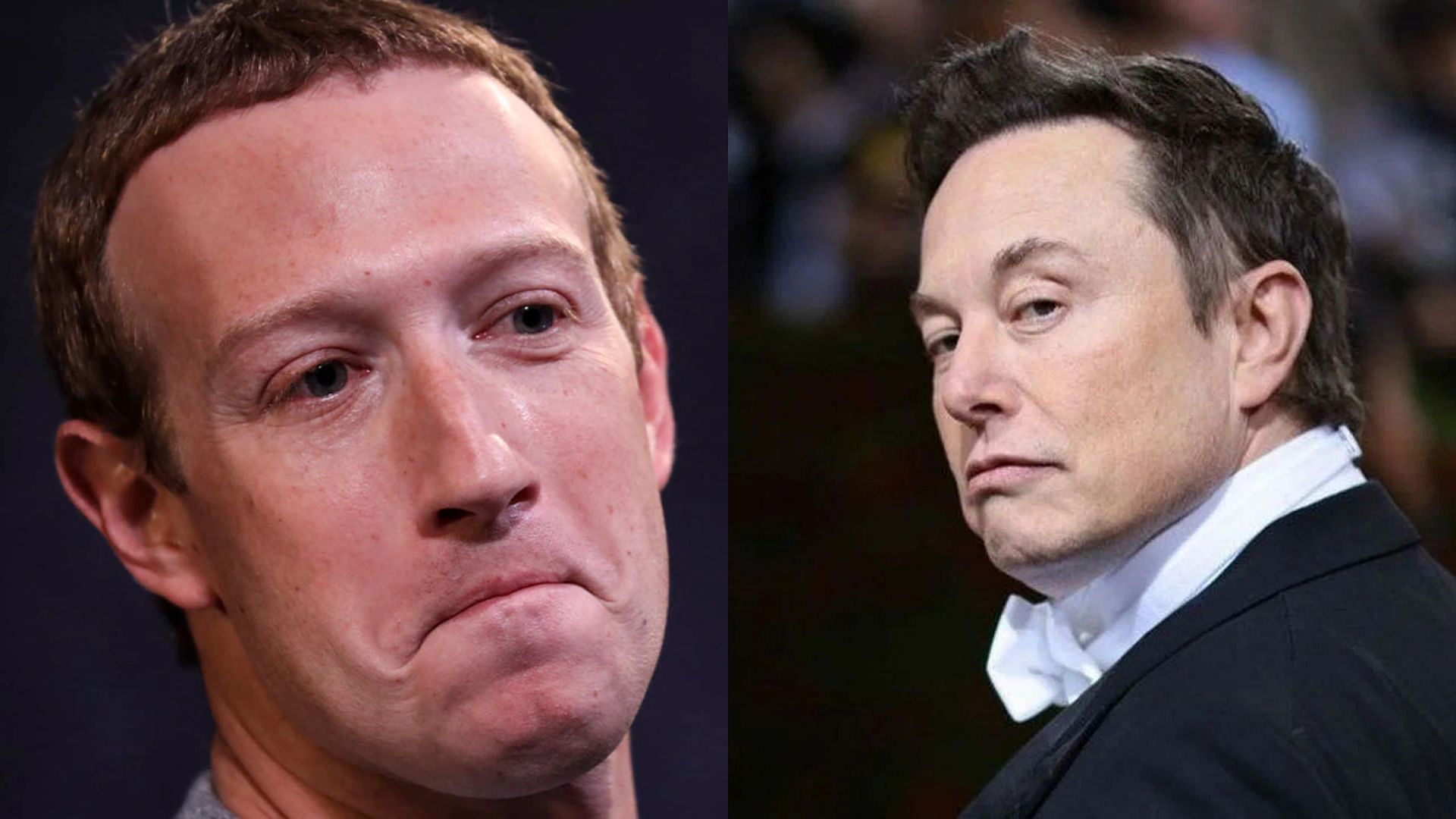 Elon Musk called Mark Zuckerberg a c*ck (Image via Getty)