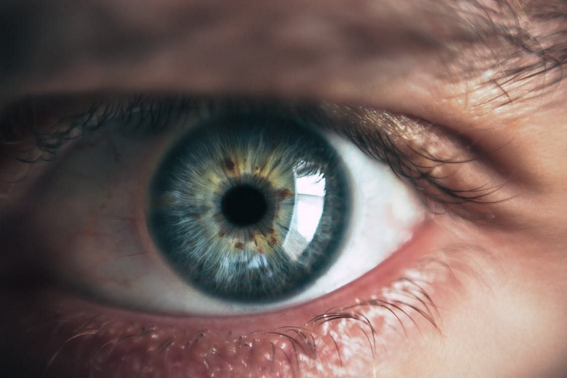 Long-term research has proven a relationship between cognitive health and sight (Victor Freitas/ Pexels)