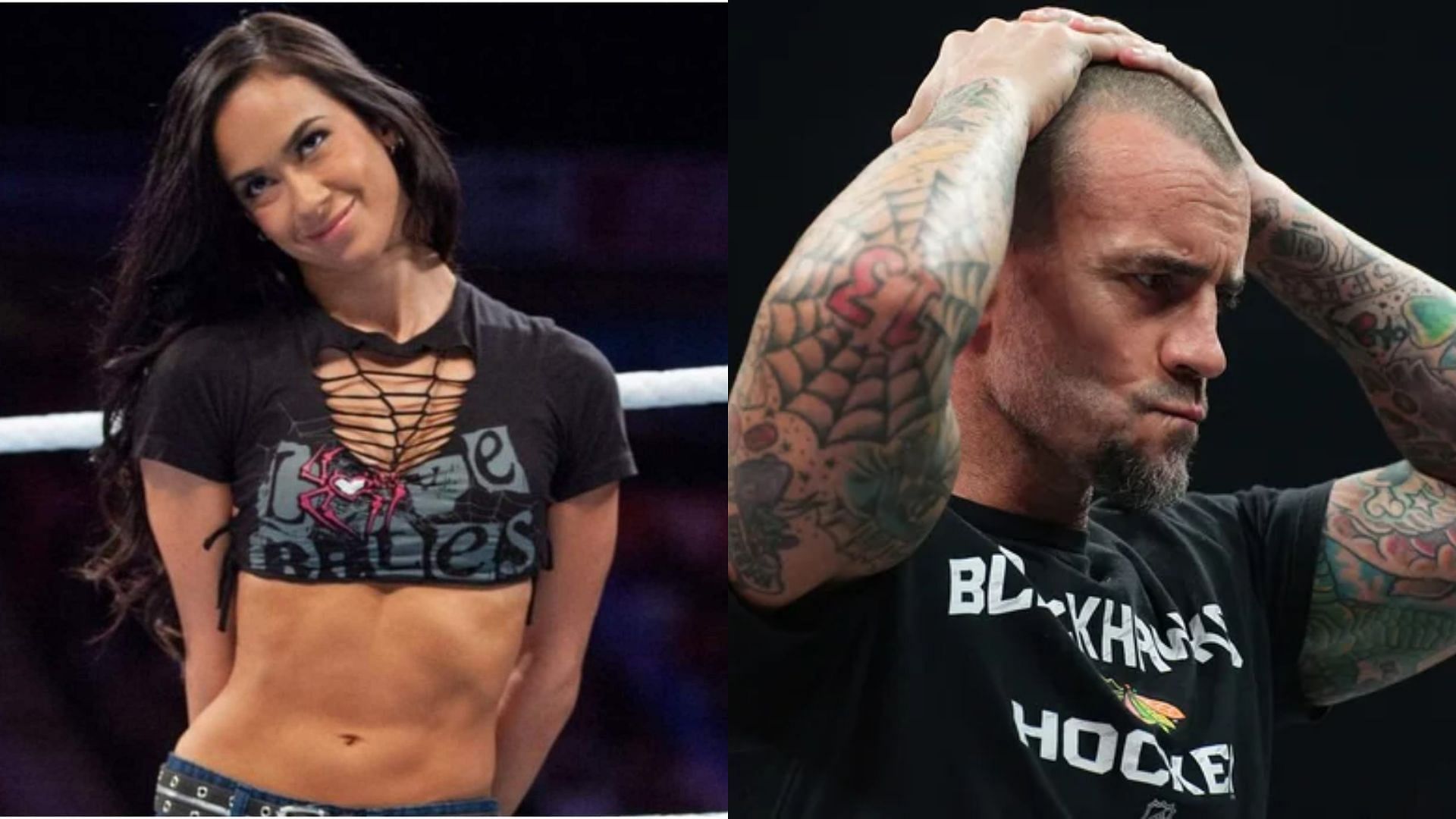 AJ Lee and CM Punk married in 2014.