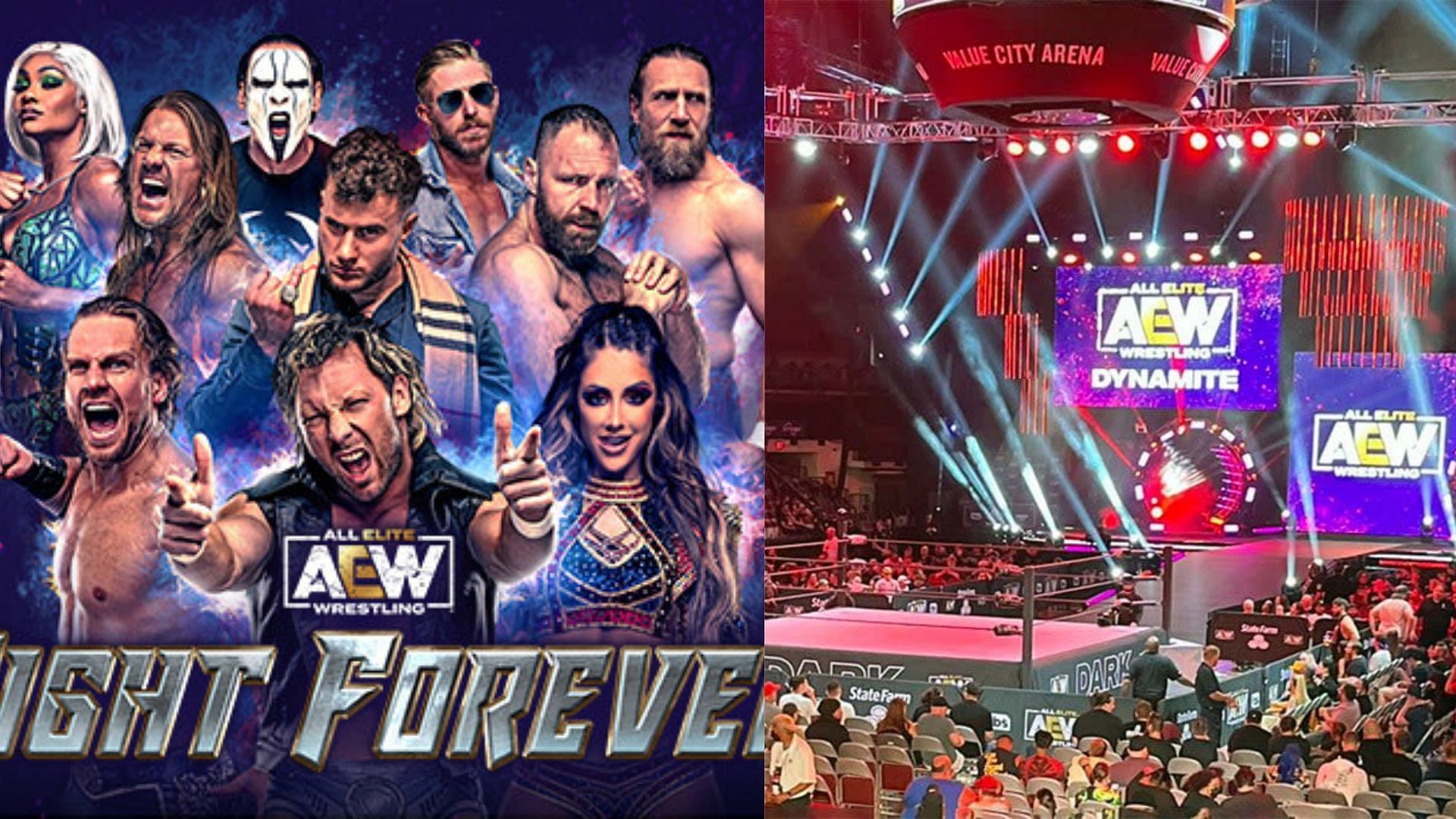 Former WWE star Chris Jericho has his say on AEW Fight Forever