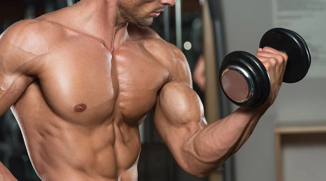 Biceps (Image via Getty Images)