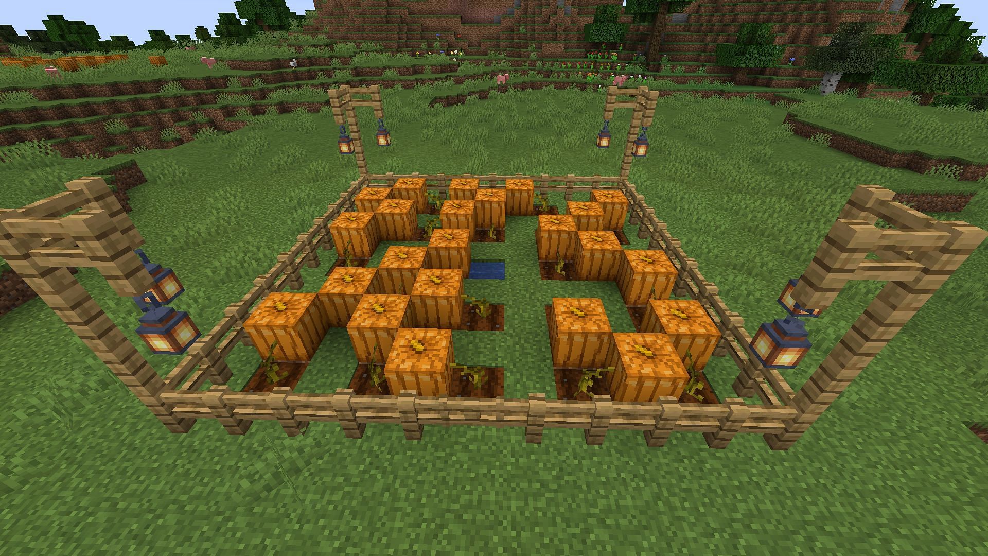 Une Ferme De Citrouilles De Base Dans Minecraft Utilisant Le Style De Conception Rapid Harvest (Image Via Mojang)