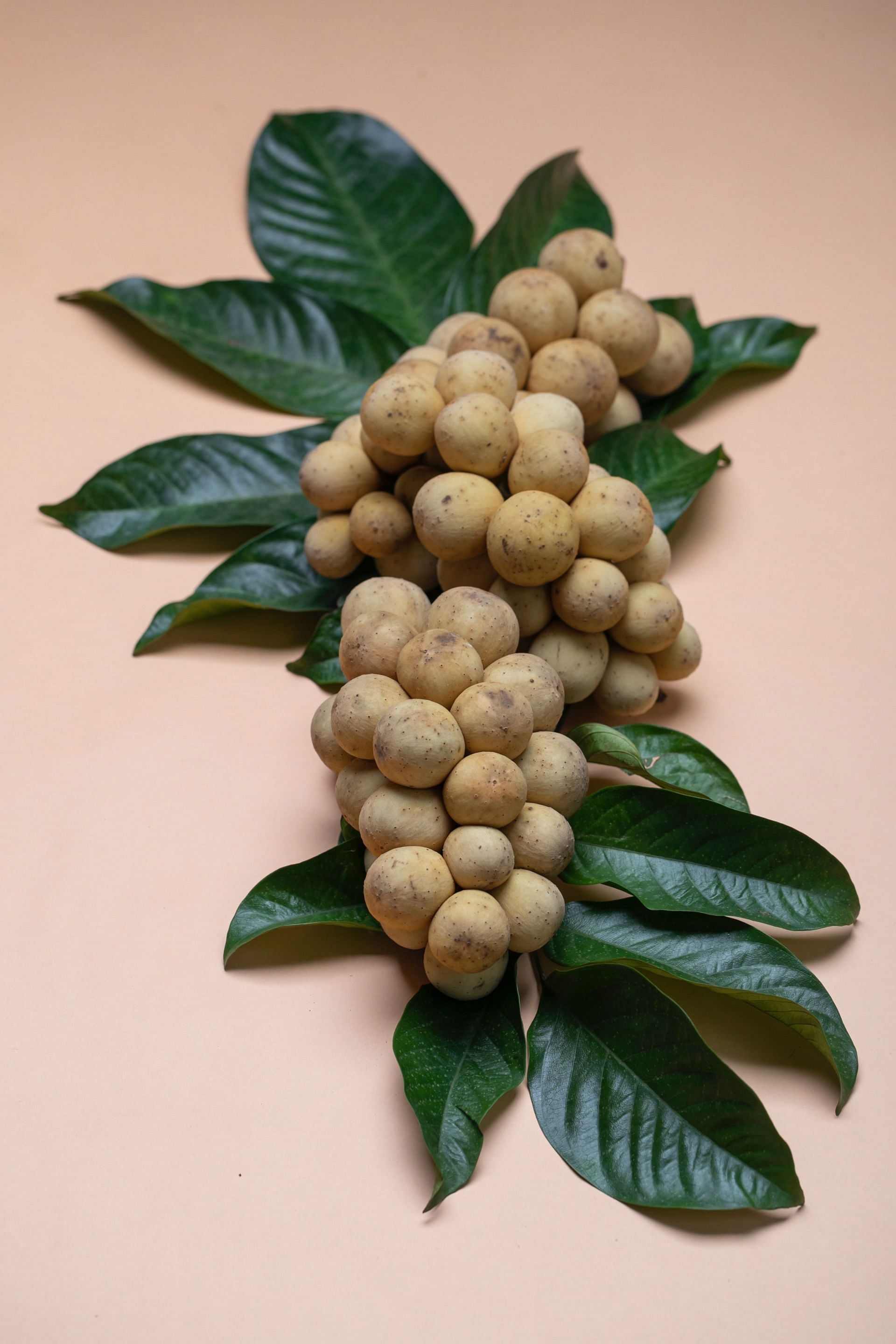 Longan fruit is especially high in vitamin C and flavonoids. (Image via Pexels)