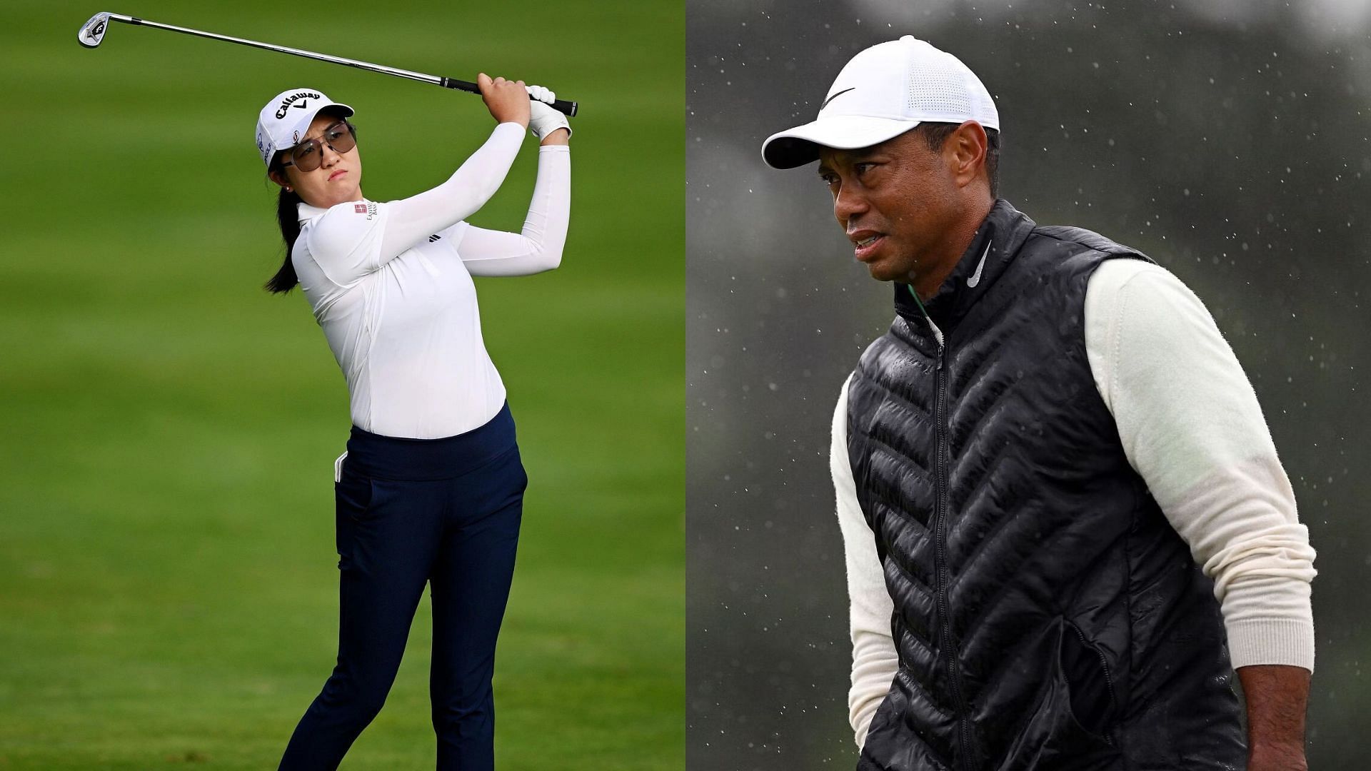 Rose Zhang is getting help from Tiger Woods