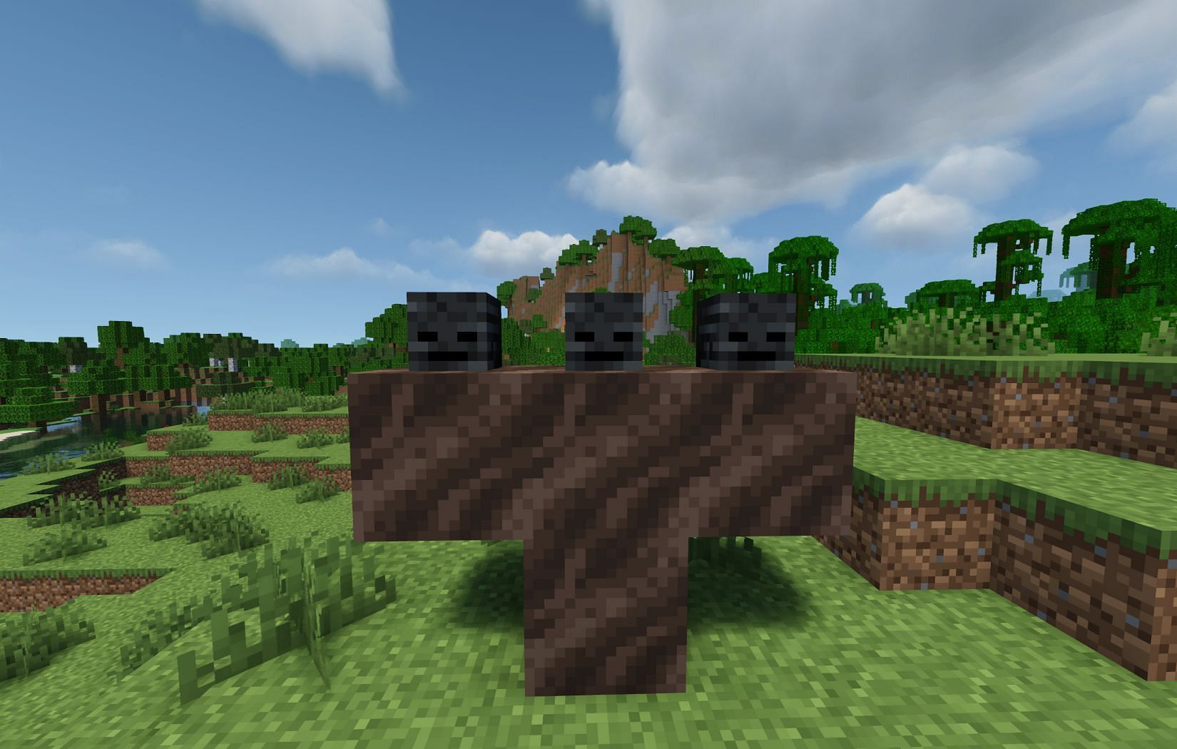 Wither skulls (Image via Mojang)