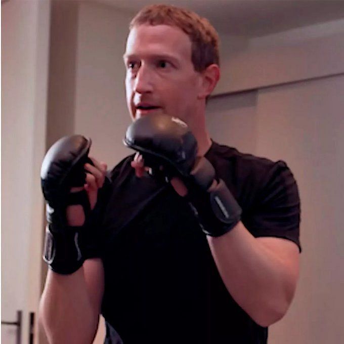 Mark Zuckerberg vs Elon Musk UFC fight: Mark Zuckerberg vs Elon Musk ...