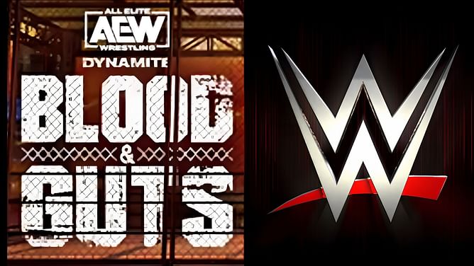 AEW has held talks with ex-WWE name about possible debut at Blood and Guts - Reports