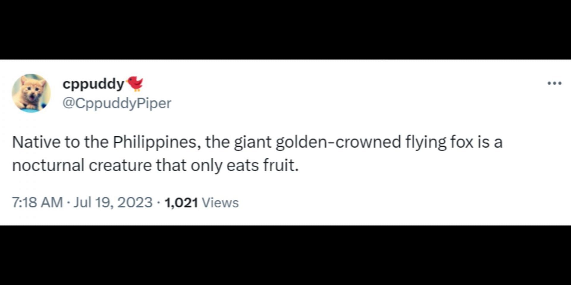 Filipinos confirm that the human sized mammal only eat fruits. (Image via Twitter/@nypost)