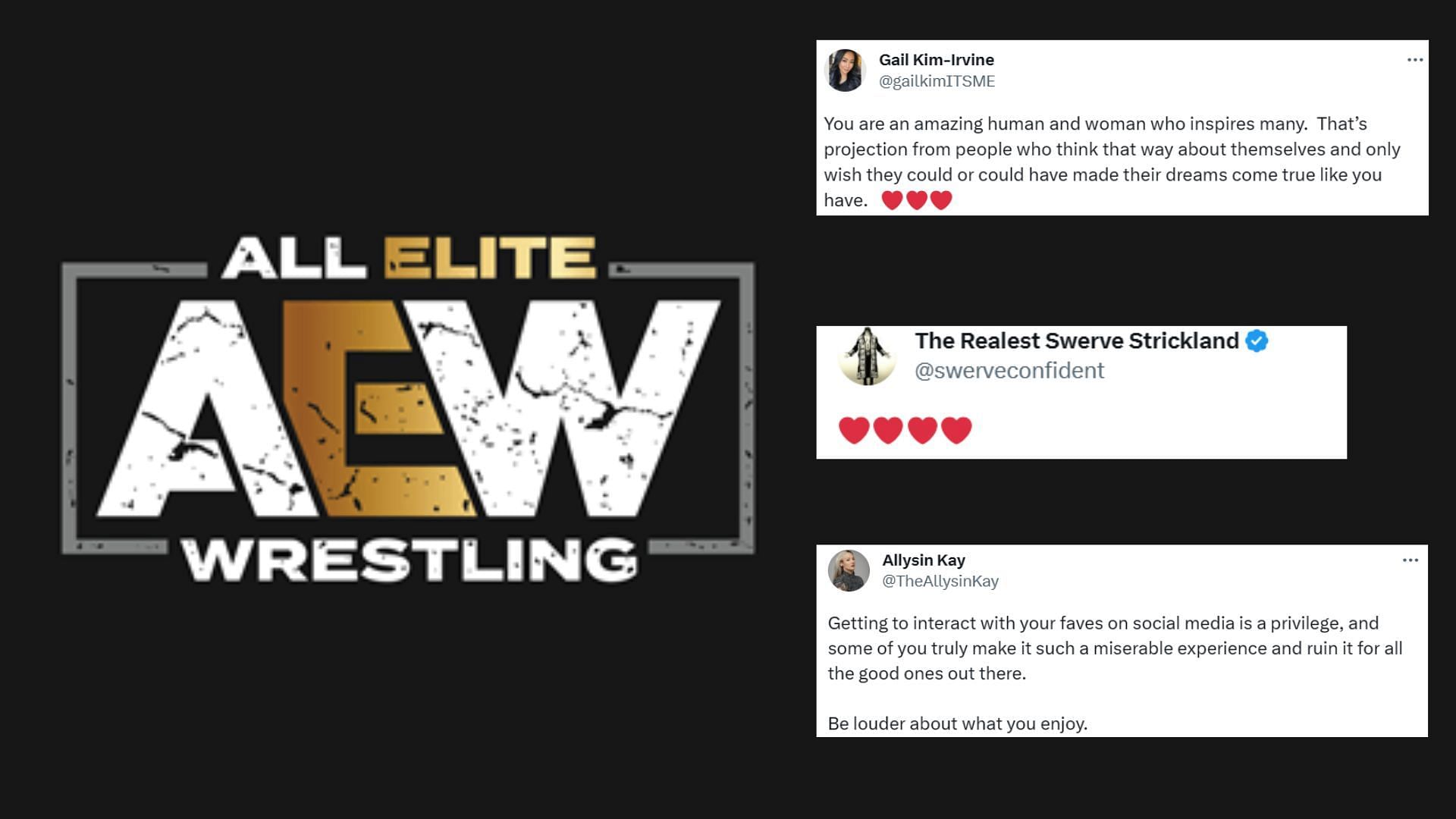 Wrestling world stands up for a top AEW star after she is subjected to ...