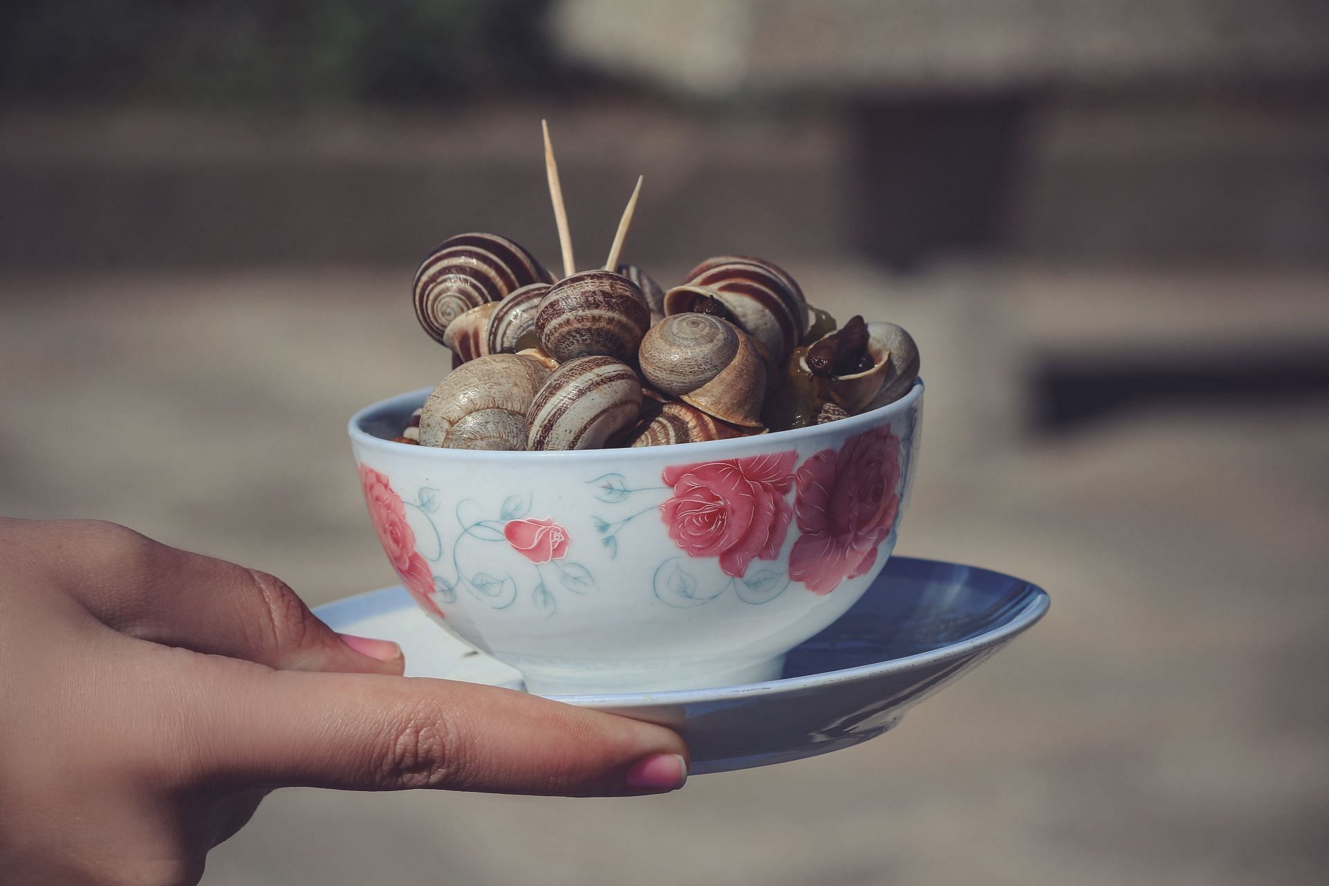 Periwinkle food refers to a species of small edible snail (Image via Unsplash/Aziz Acharki)
