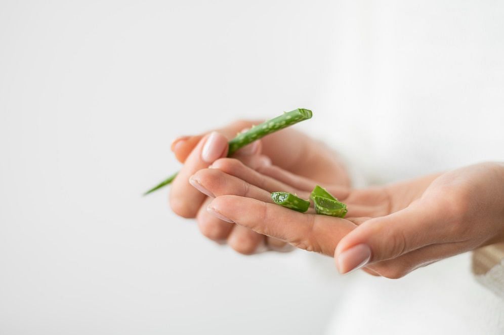 Aloe for maceration (Image via Freepik)