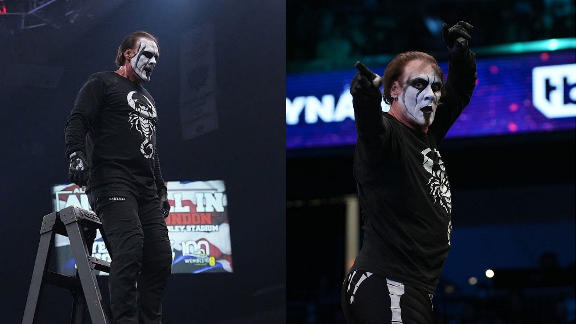 Sting is former WCW is World Champion
