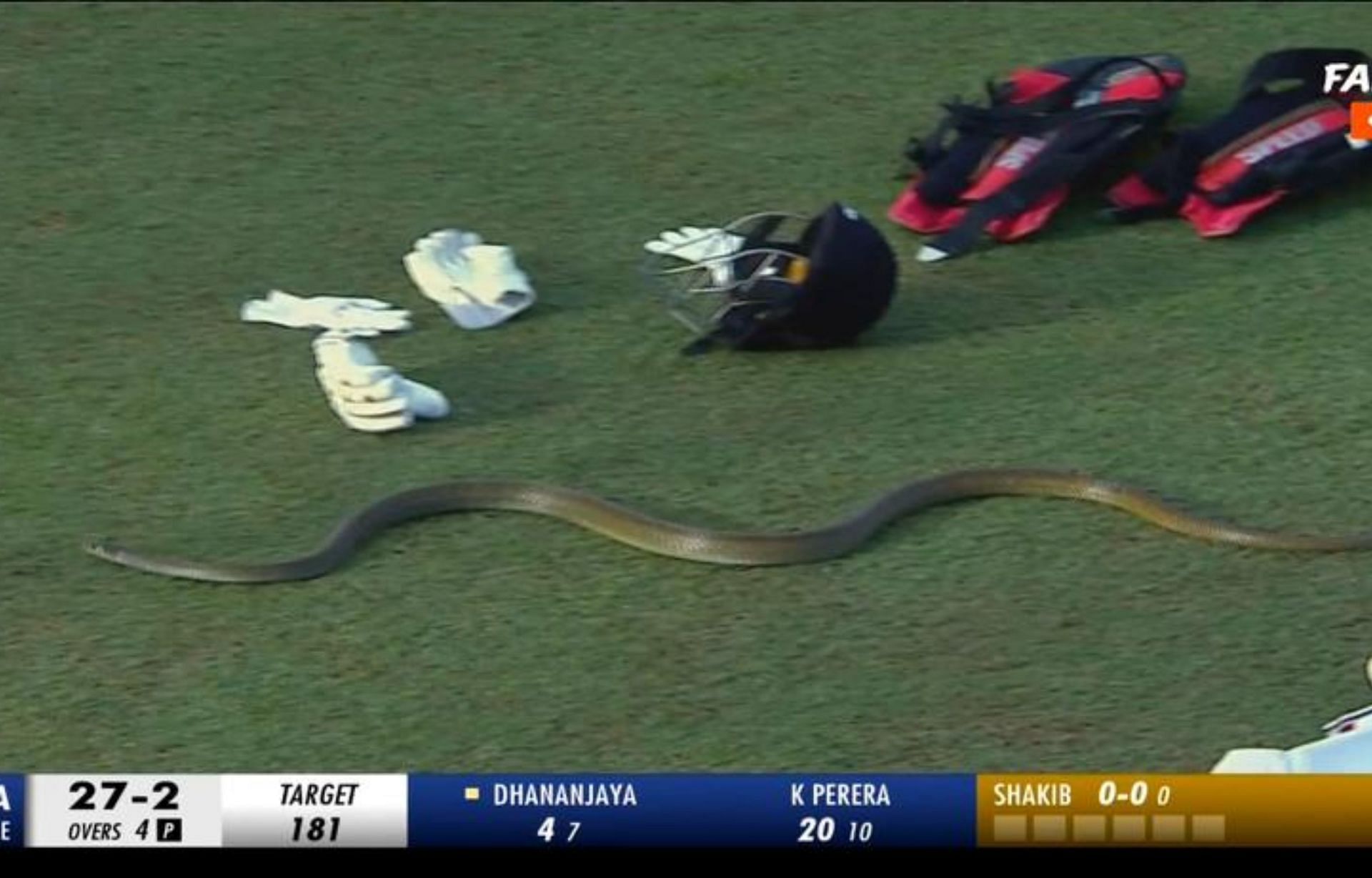 Snake crawling near the edge of the boundary rope during the second innings of 2nd LPL 2023 match. 